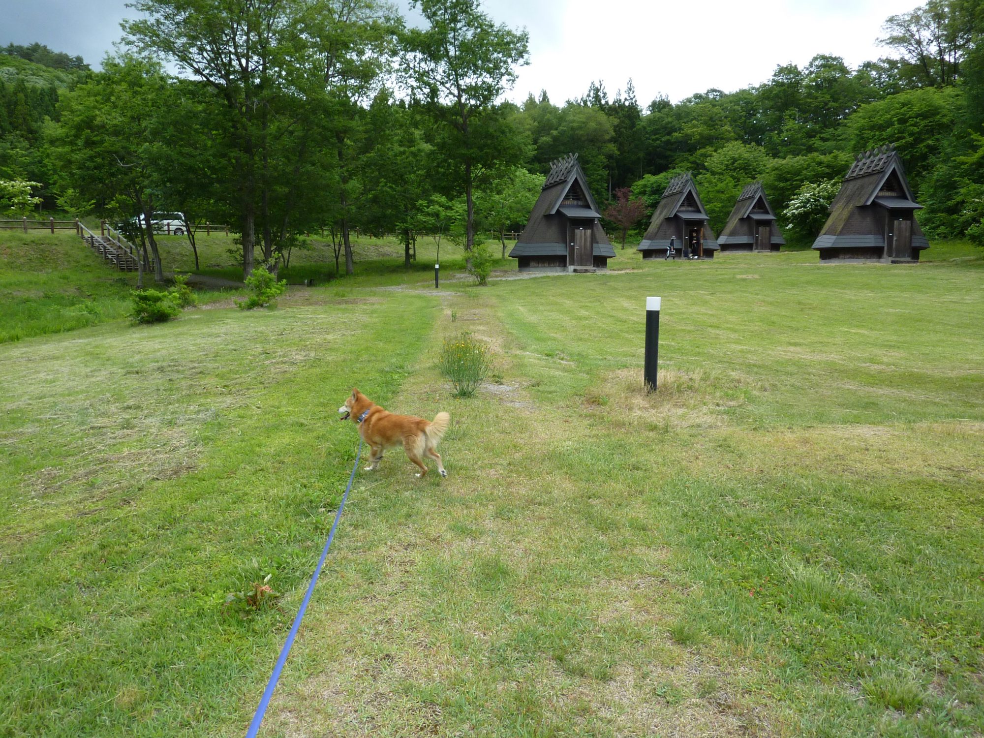 キャンプ備忘録：「田沢湖オートキャンプ場 縄文の森たざわこ」の縄文風バンガローを利用